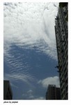 photo7