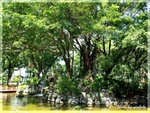 PA050819