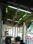 P1000042