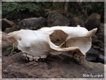 P2120254