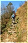 DSC_9524