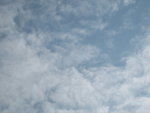 IMG_1009