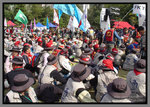 DSC03316