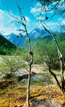 photo1 (1)