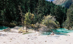 photo1 (7)