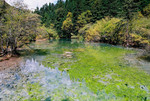 photo1 (9)
