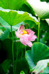photo1 (10)