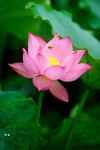 photo1 (11)