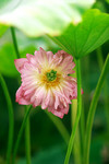 photo1 (12)