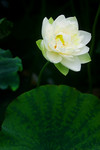 photo1 (13)