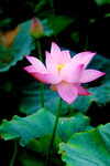 photo1 (14)