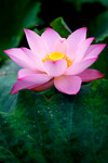 photo1 (15)