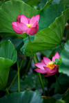 photo1 (5)