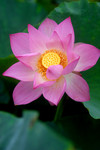 photo1 (6)