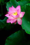 photo1 (7)