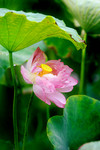 photo1 (9)