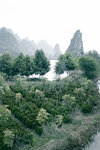 photo (1)