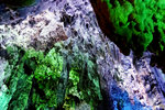 photo (11)