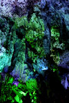 photo (13)