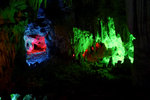 photo (15)