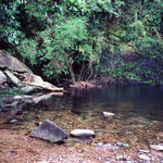 image29