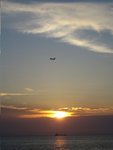 IMG_1978