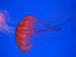 IMG_4088
