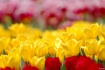 Image00001