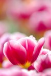 Image00003