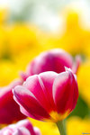 Image00004