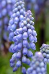Image00008