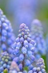 Image00009