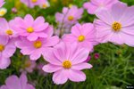 Image00010