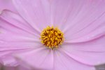 Image00011