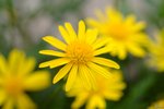 Image00013
