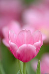 Image00015