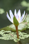 Image00019