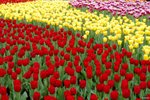Image00022