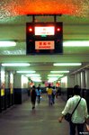 Image00016