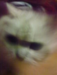 DSC00035