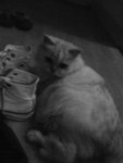 DSC00042
