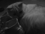 DSC00043
