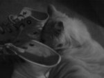 DSC00044