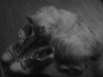 DSC00045