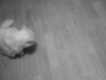DSC00047