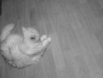 DSC00048