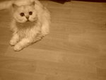 DSC00050