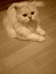 DSC00051