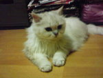 DSC00053
