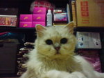 DSC00056